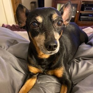 Meet your Posher, Tonia